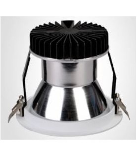 Downlight 38W