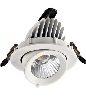 Downlight PRO-1312 Versátil...
