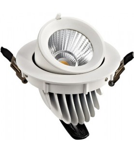 Downlight PRO-1280 COB...